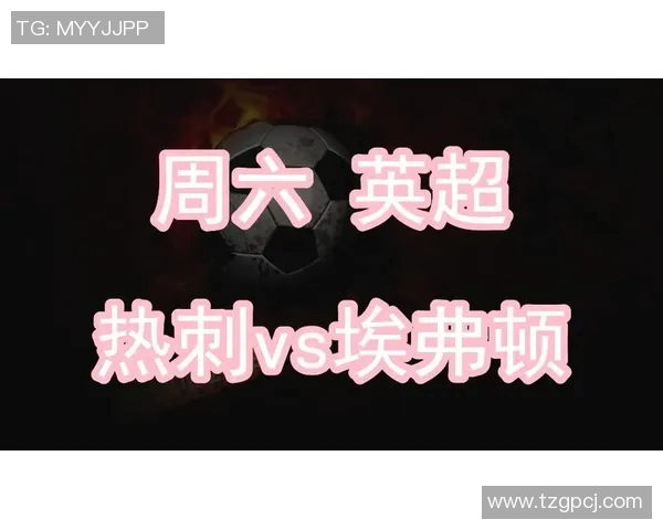 热刺与埃弗顿对决前瞻及比分预测分析,谁能笑到最后